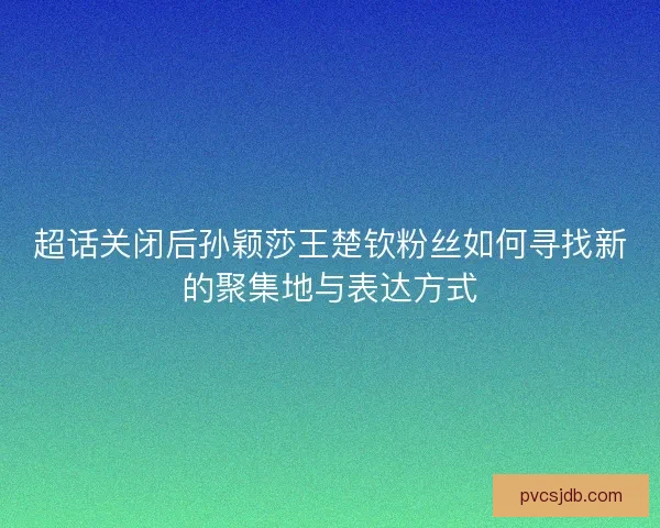 超话关闭后孙颖莎王楚钦粉丝如何寻找新的聚集地与表达方式