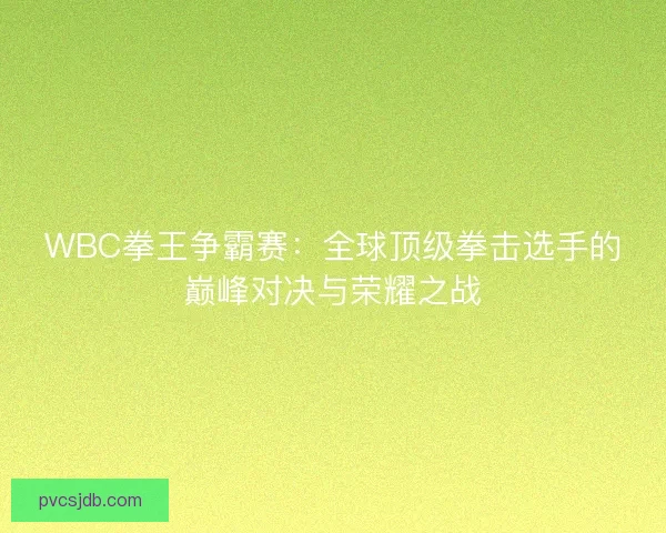 WBC拳王争霸赛：全球顶级拳击选手的巅峰对决与荣耀之战