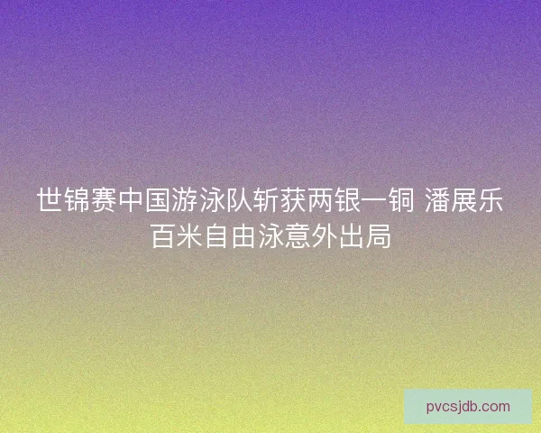 世锦赛中国游泳队斩获两银一铜 潘展乐百米自由泳意外出局