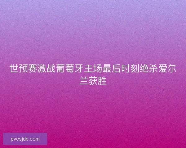 世预赛激战葡萄牙主场最后时刻绝杀爱尔兰获胜